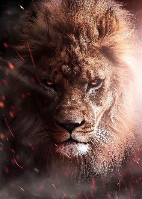 Angry lion on fire poster ' Poster, Angry Lion Art HD phone wallpaper ...