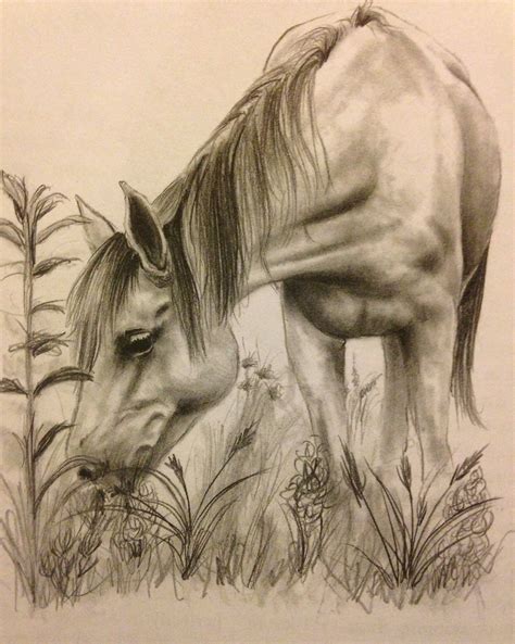 Realistic Horse Drawing At Getdrawings Free Download - Riset