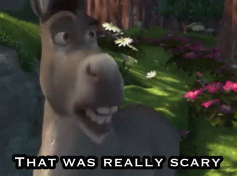 Shrek Donkey GIF - Shrek Donkey That Was Really Scary - Discover ...