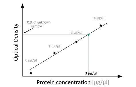 Bradford Assay for Protein Quantification ~ Biotechfront