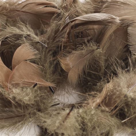 Brown Assorted Natural Loose Goose Feathers - Feathers - Basic Craft ...