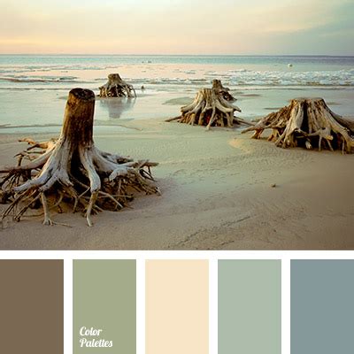 Color Palette #786 | Color Palette Ideas