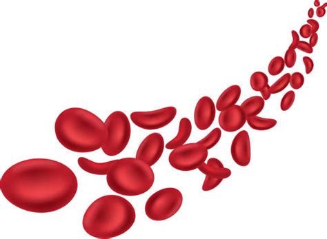 Blood Cells Illustrations, Royalty-Free Vector Graphics & Clip Art - iStock