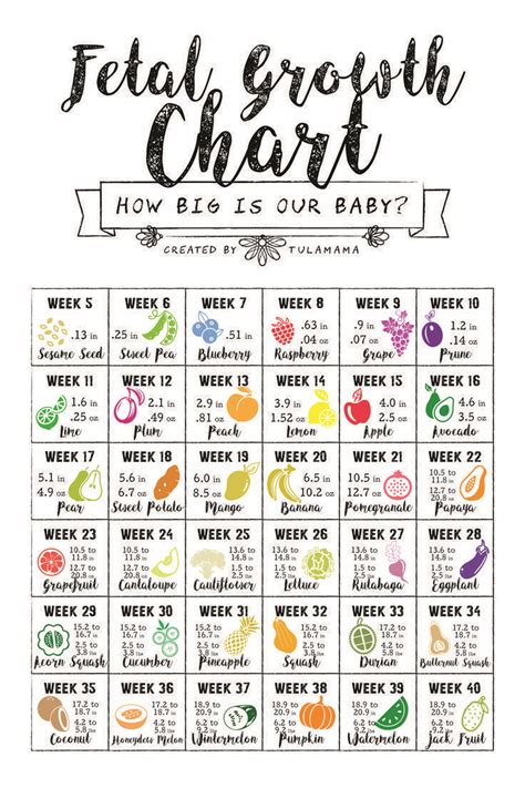 How Big Is My Baby? Using A Fetal Growth Chart To Track Your Baby Size ...