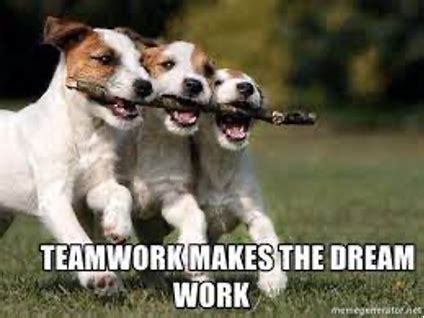 25 Teamwork Memes | Funny, The Office, High Fives & More