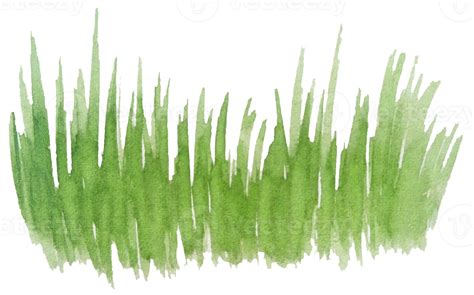 watercolor grass hand drawn 10792309 PNG