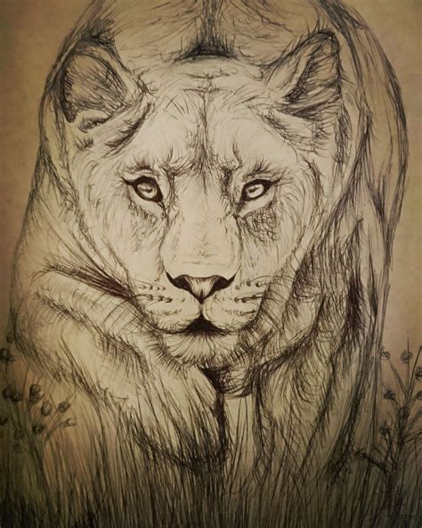 Lioness drawing in biro pen ♥ | Drawings, Meaningful tattoos, Animal tattoo