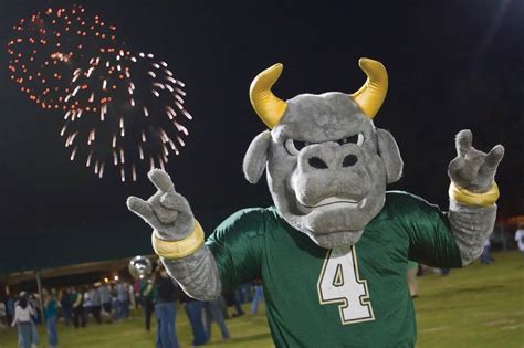 Happy Independence Day to our #USF family from Rocky the Bull! | Bull ...