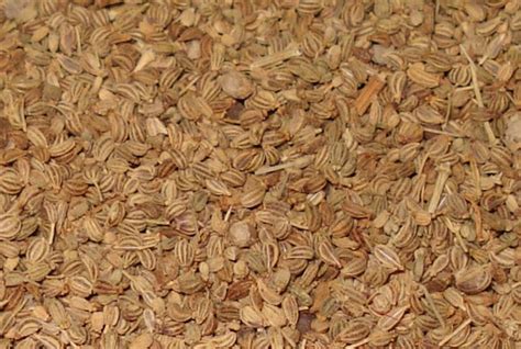 Ajwain | JD Spices,Unjha,Gujarat,India