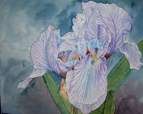 Finished painting of pale blue Iris | Watercolor Journal