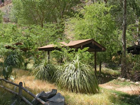 Trees at Havasupai Gardens: Bright Angel Trail, Grand Canyon National ...