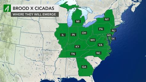 2021 cicada map: These 15 states are most likely to see Brood X cicadas ...