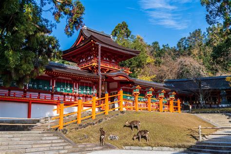 The 5 Best Temples in Nara, Japan | CuddlyNest