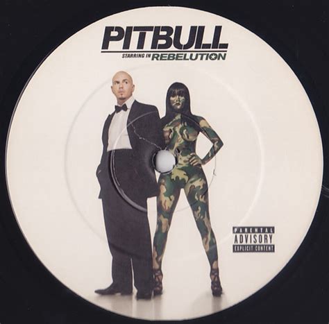 Pitbull – Rebelution (2010, Vinyl) - Discogs