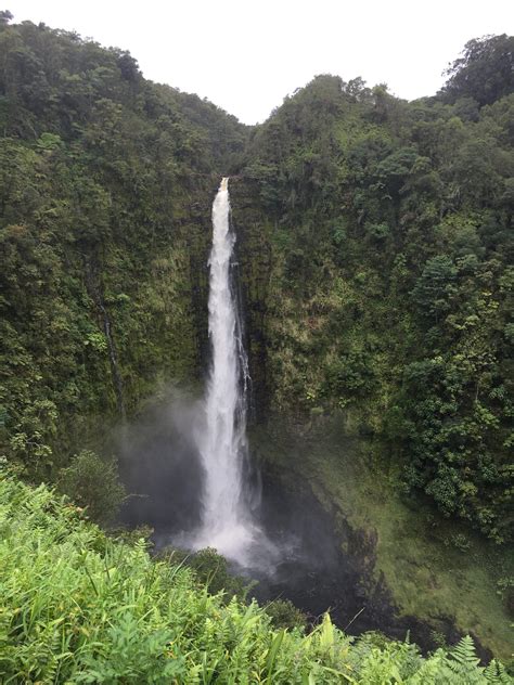 Akaka Falls - MisMashedMom