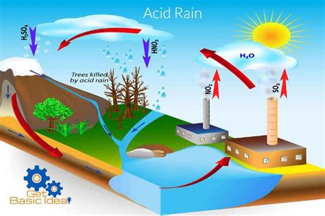 Acid Rain | Environmental Chemistry www.getbasicidea.com