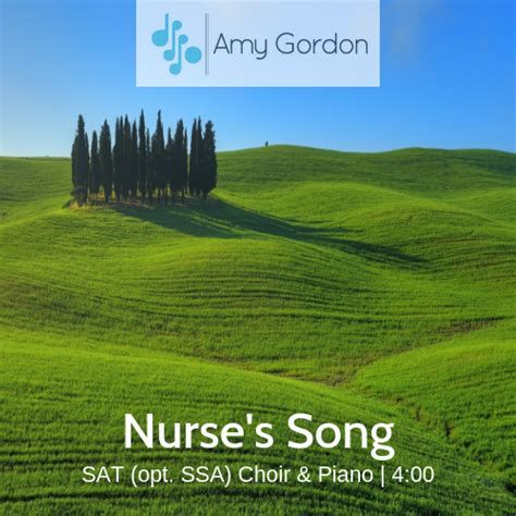 Nurse's Song - Amy Gordon