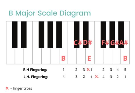 B Major Scale On The Piano - Notes, Fingerings & More