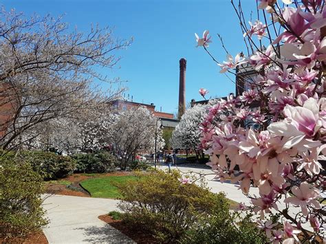 WPI Higgins Laboratories, 100 Institute Rd, Worcester, MA, Colleges ...