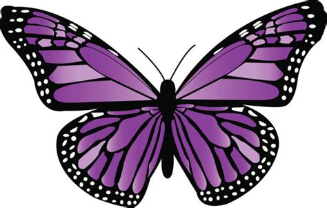 1,100+ Purple Butterfly Clipart Stock Illustrations, Royalty-Free ...