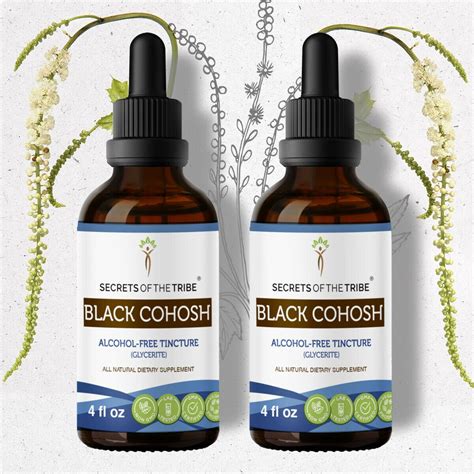 Black Cohosh Tincture Alcohol-FREE Extract, Responsibly farmed organic ...