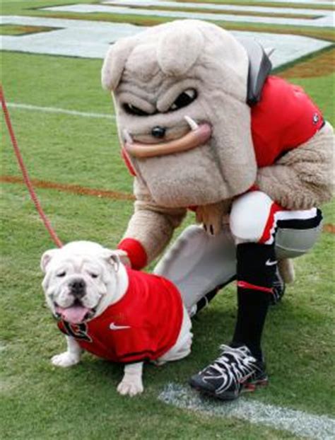 Mascot Monday: Uga and Hairy Dawg | KC College Gameday