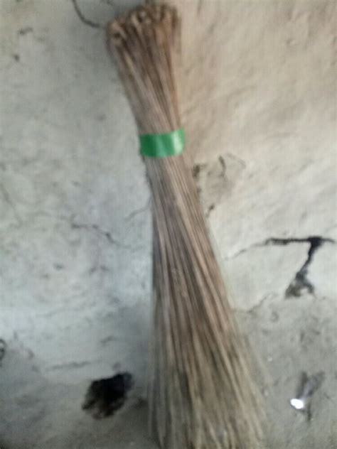 Coconut Broom at Rs 90/kg | Coconut Brooms | ID: 22999389388