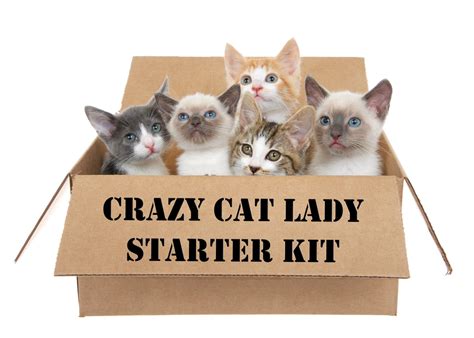 Crazy Cat Woman Gifts