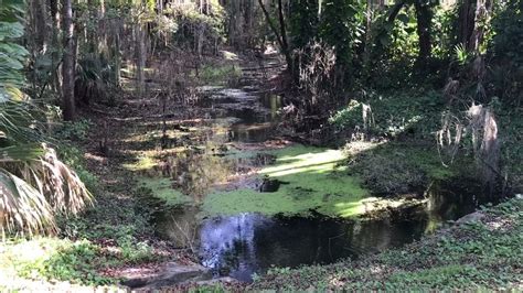 Overlook Park (Clifton Springs, Lake Jesup), Florida - YouTube