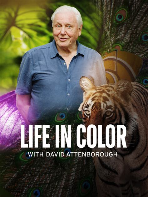 Attenborough's Life in Colour Season 1 | Rotten Tomatoes