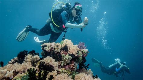 Batangas opens dive sites to tourists