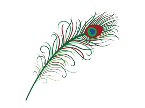 Peacock Feather Drawing With Colour Here presented 64 peacock feather ...