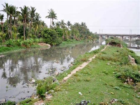 NGT team reviews Musi River’s cleanup, rejuvenation works