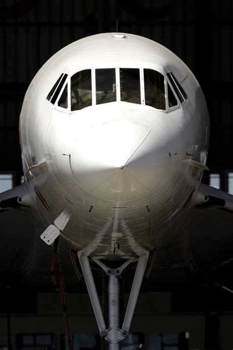 Gorgeous, supersonic nose of Concorde | Aviation civile, Aéronef, Sud ...