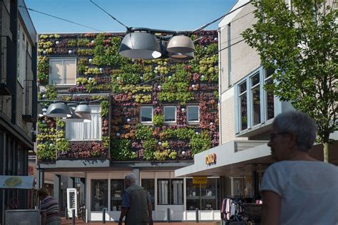 Veghel, Netherlands | Living wall, Veghel, Netherlands