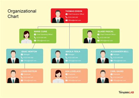 Office Charts Templates