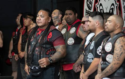 Gangs of New Zealand: Inside the 'uncontrolled growth' of the gang ...