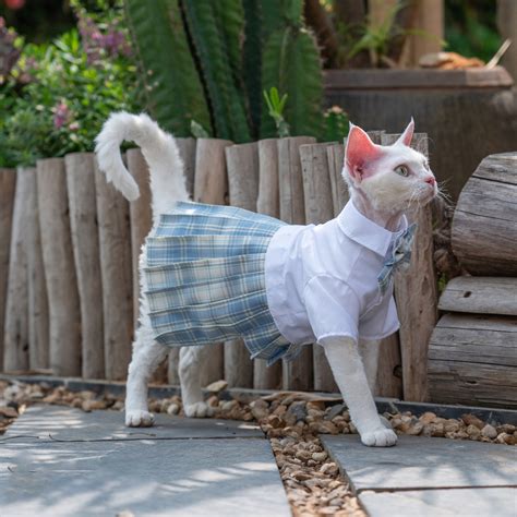 Sphynx Cat Dress Hairless Cat School Uniform Summer Romper | Etsy