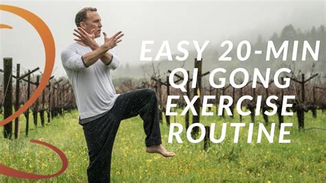 20-Min Qi Gong Exercise Routine - Easy Home Workout with Lee Holden ...