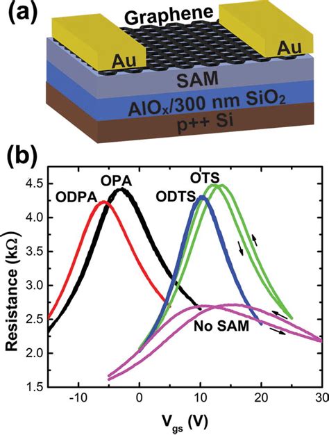 (a) Schematic of graphene transistors fabricated. Transistors had a ...