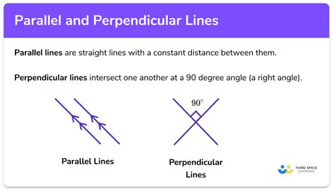 Parallel and Perpendicular Lines - GCSE Maths - Steps, Examples & Worksheet