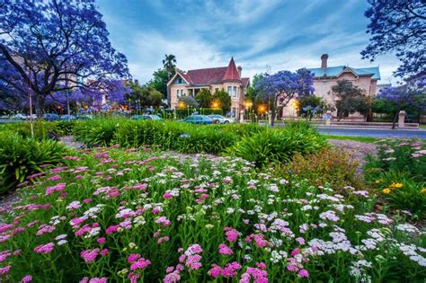 The Garden in Adelaide, South Australia jigsaw puzzle | Australia ...