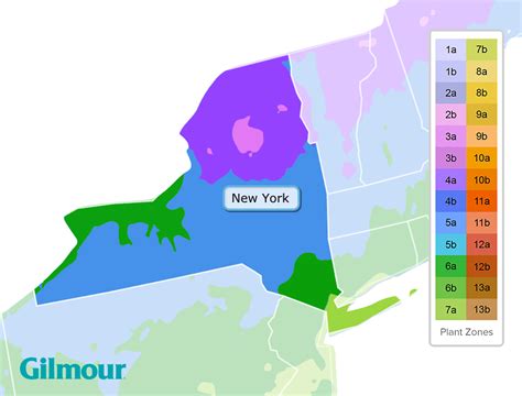 16+ Plant Zones New York - CadelCarlyne