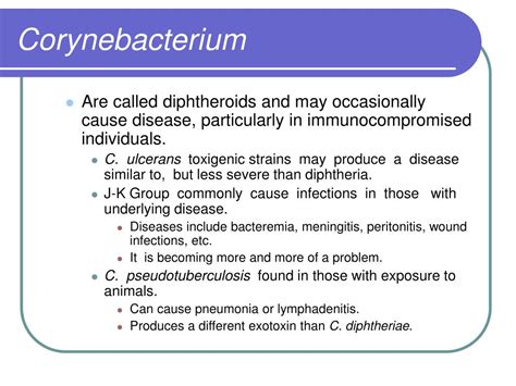 PPT - Corynebacterium PowerPoint Presentation - ID:201783