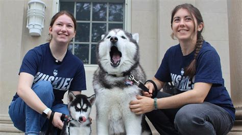 UConn presents newest Siberian husky mascot Jonathan XV | Fox News