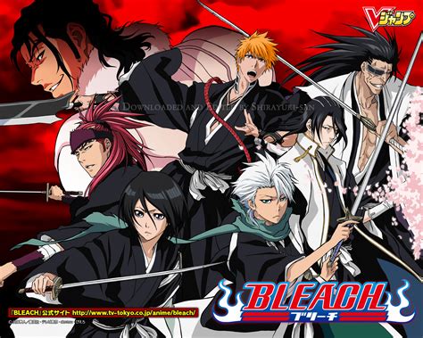 Bleach - Bleach Anime Photo (33457868) - Fanpop