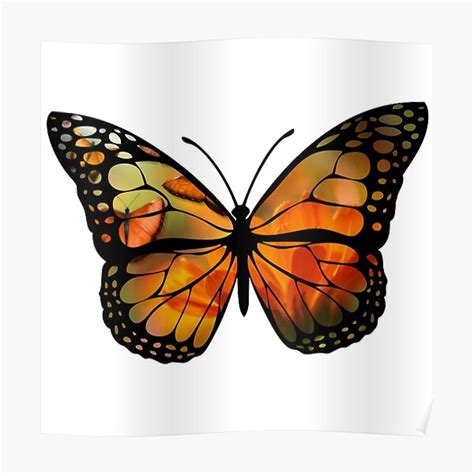 "Butterfly Silhouette art. Butterflies in butterflies in the orange ...