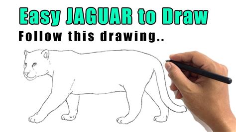 How To Draw A Jaguar With This Easy Jaguar Drawing Step By Step Sketch ...