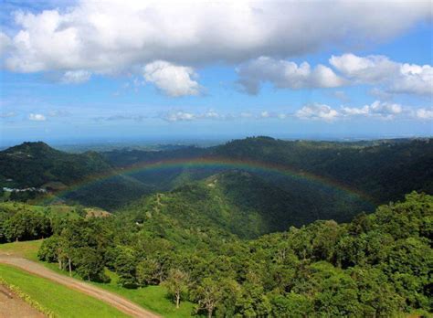 The Longest Zipline in America: Experience Toro Verde Puerto Rico - Jen ...