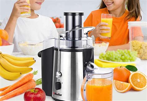 Top 10 Best Juicer Extractors in 2023 | Fruits and Vegetables Juice